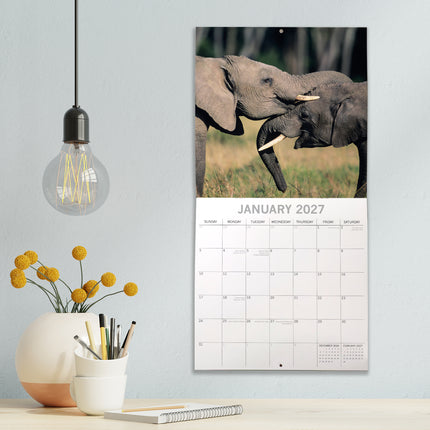 Elephants 2027 Square Wall Calendar lifestyle image