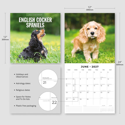English Cocker Spaniels 2027 square wall calendar - product specifications