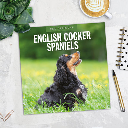 English Cocker Spaniels 2027 square wall calendar - image detail