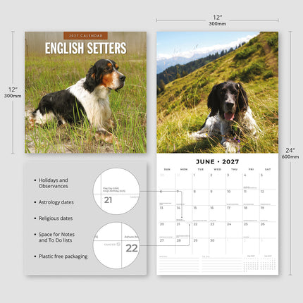 English Setters 2027 square wall calendar - product specifications
