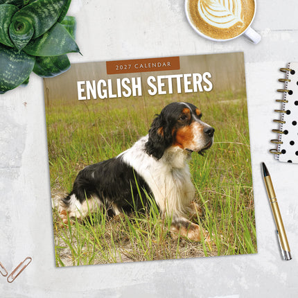 English Setters 2027 square wall calendar - image detail
