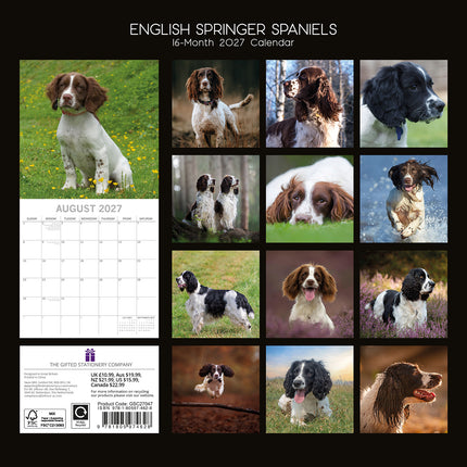 English Springer Spaniels 2027 Premium Square Wall Calendar back cover
