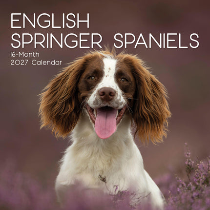 English Springer Spaniels 2027 Premium Square Wall Calendar cover