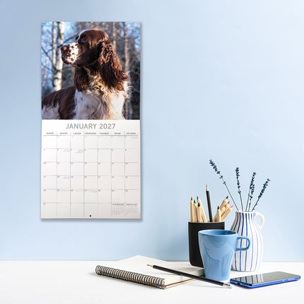 English Springer Spaniels 2027 Premium Square Wall Calendar lifestyle image
