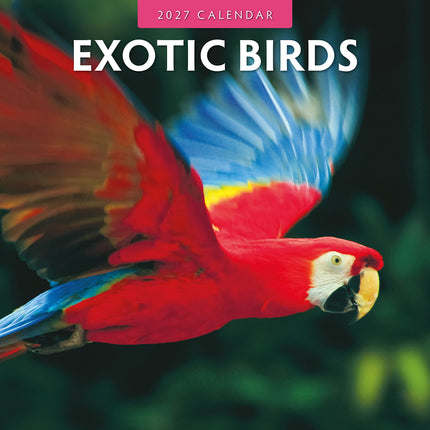 Exotic Birds 2027 square wall calendar - front cover