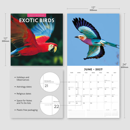 Exotic Birds 2027 square wall calendar - product specifications
