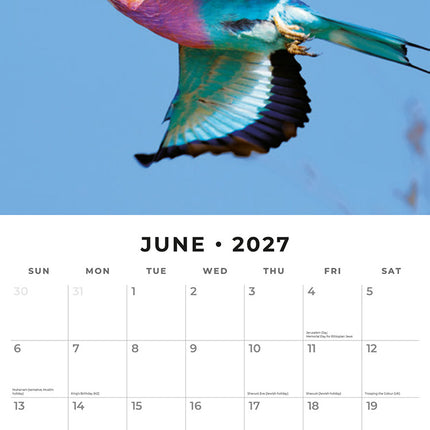 Exotic Birds 2027 square wall calendar - monthly calendar spread
