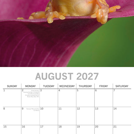 Fabulous Frogs 2027 Premium Square Wall Calendar August sample page