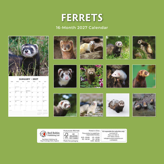 Ferrets 2027 square wall calendar - back cover