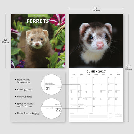 Ferrets 2027 square wall calendar - product specifications