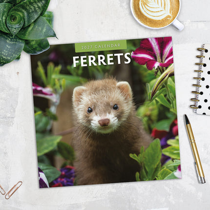 Ferrets 2027 square wall calendar - image detail