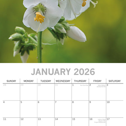 Beauty of Flowers 2026 Square Wall Calendar 16 Months Floral Plants Planner Gift