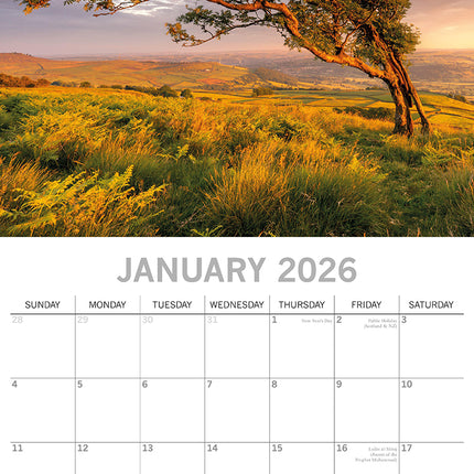 Beauty of Trees - 2026 Square Wall Calendar 16 Months Home Garden Planner Gift
