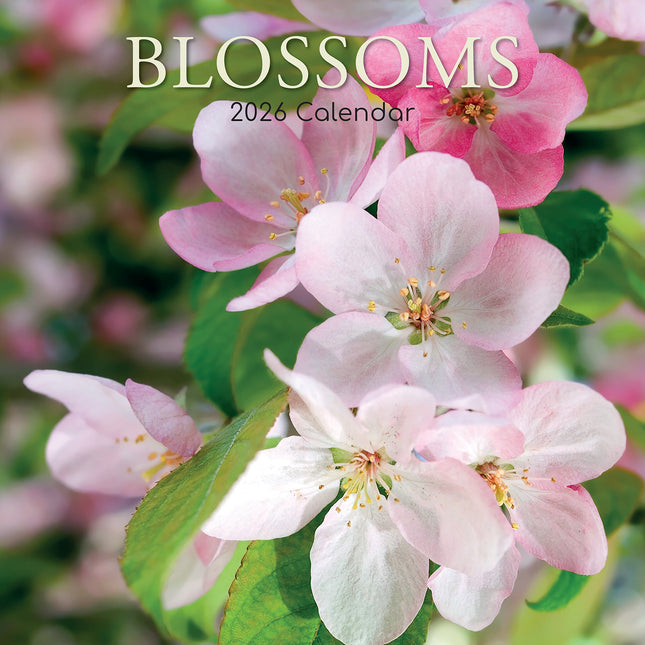Blossoms 2026 Square Wall Calendar 16 Months Floral Flower Planner New Year Gift