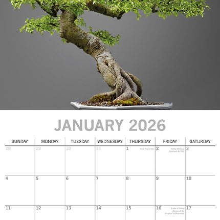 Bonsai - 2026 Square Wall Calendar 16 Months Floral Flower Planner New Year Gift