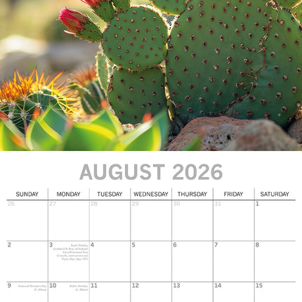 Cacti & Succulents 2026 Square Wall Calendar 16 Month Floral Flower Planner Gift
