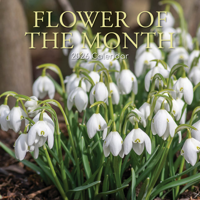 Flower of the Months - 2026 Square Wall Calendar 16 Months Floral Plants Planner