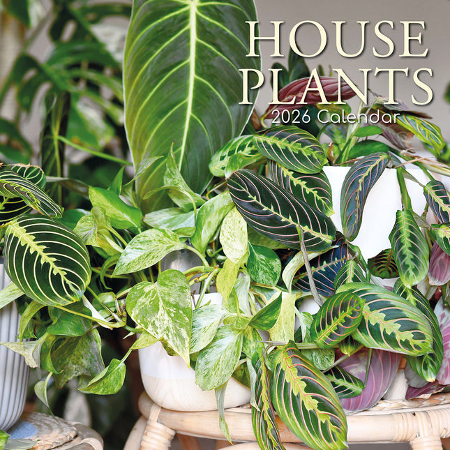 House Plants 2026 Square Wall Calendar 16 Months Floral Flower Planner Home Gift