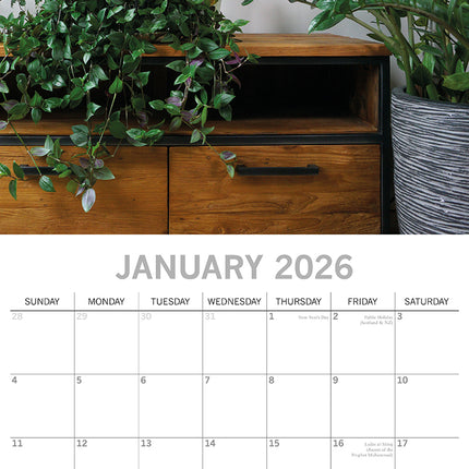 House Plants 2026 Square Wall Calendar 16 Months Floral Flower Planner Home Gift