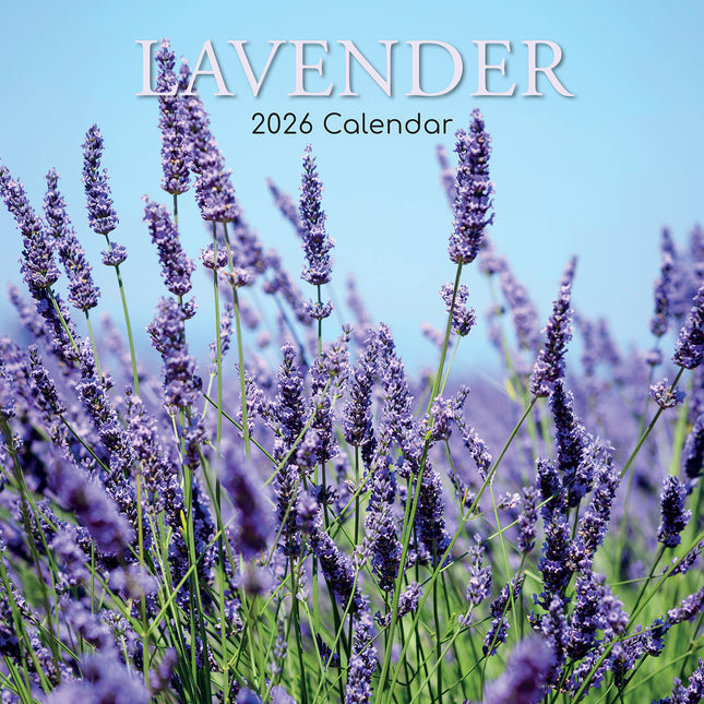 Lavender 2026 Square Wall Calendar 16 Months Floral Flower Planner New Year Gift