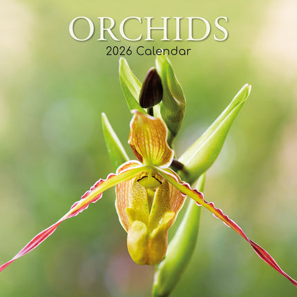 Orchids - 2026 Square Wall Calendar 16 Month Floral Flower Planner New Year Gift