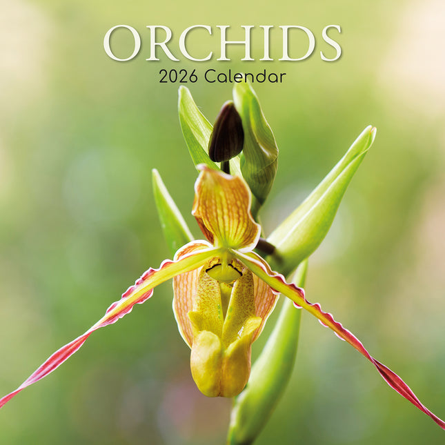 Orchids - 2026 Square Wall Calendar 16 Month Floral Flower Planner New Year Gift