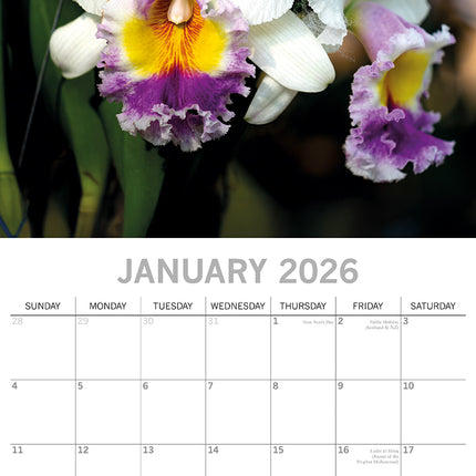 Orchids - 2026 Square Wall Calendar 16 Month Floral Flower Planner New Year Gift