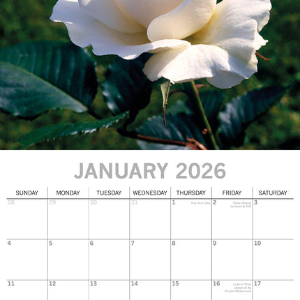 Roses - 2026 Square Wall Calendar 16 Months Floral Flower Planner New Year Gift