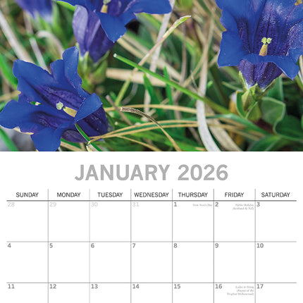 Wild Flowers - 2026 Square Wall Calendar 16 Months Floral Planner New Year Gift