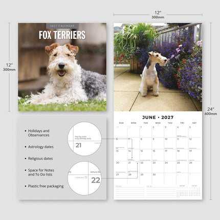 Fox Terriers 2027 square wall calendar - product specifications