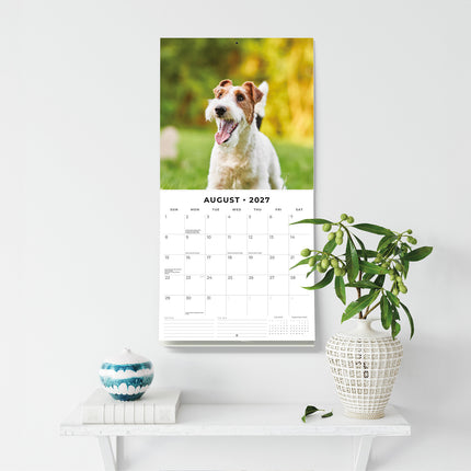 Fox Terriers 2027 square wall calendar - wall display