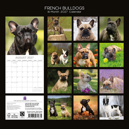 French Bulldogs 2027 Premium Square Wall Calendar back cover