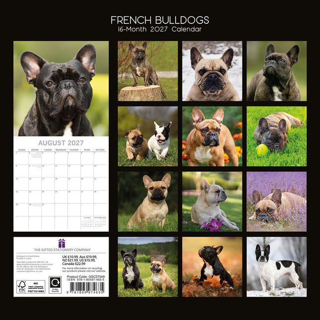 French Bulldogs 2027 Premium Square Wall Calendar back cover