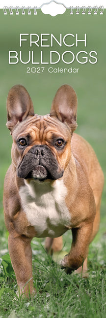 French Bulldogs 2027 Premium Slim Wall Calendar cover