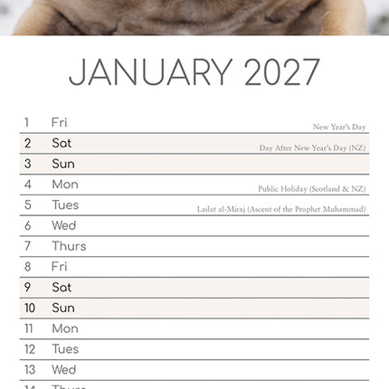 French Bulldogs 2027 Premium Slim Wall Calendar January sample page