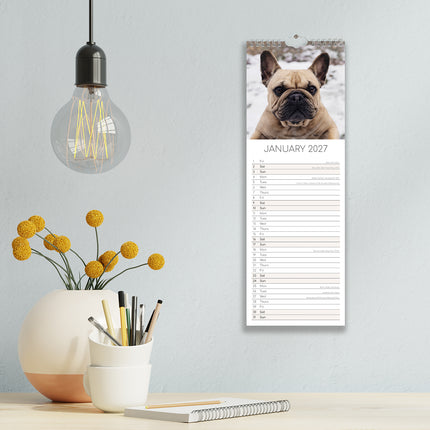 French Bulldogs 2027 Premium Slim Wall Calendar lifestyle image