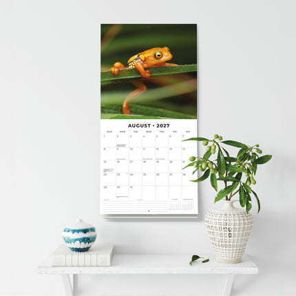 Frogs 2027 square wall calendar - wall display