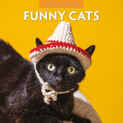 Funny Cats 2027 square wall calendar - front cover