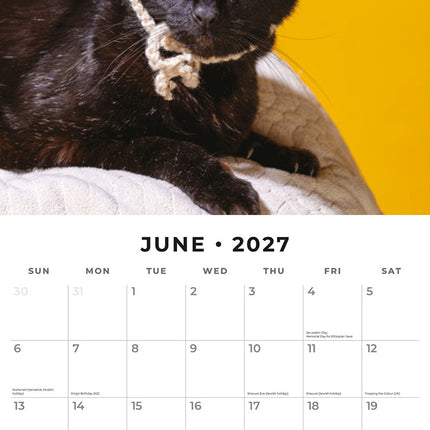 Funny Cats 2027 square wall calendar - monthly calendar spread