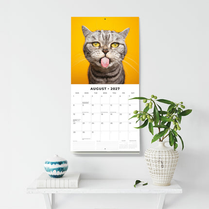 Funny Cats 2027 square wall calendar - wall display