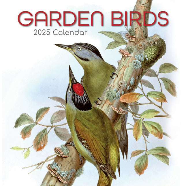 Garden Birds - 2025 Square Wall Calendar Pets Animals 16 Months Premium Planner