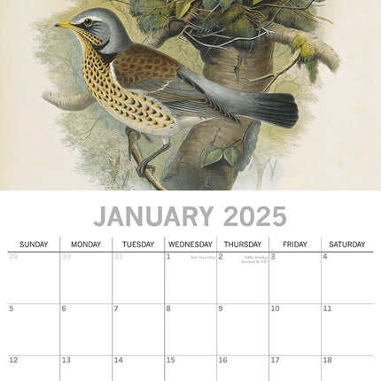 Garden Birds - 2025 Square Wall Calendar Pets Animals 16 Months Premium Planner