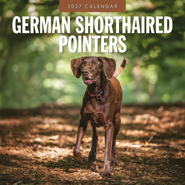 German Shorthaired Pointers 2027 square wall calendar - front cover