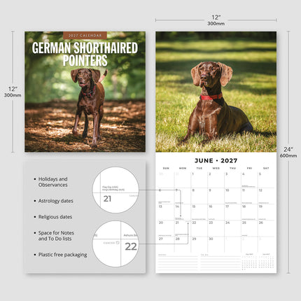 German Shorthaired Pointers 2027 square wall calendar - product specifications