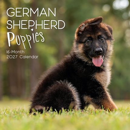 German Shepherd Puppies 2027 Premium Square Wall Calendar cover
