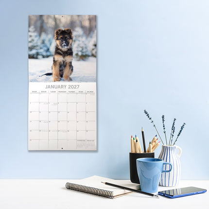 German Shepherd Puppies 2027 Premium Square Wall Calendar lifestyle image