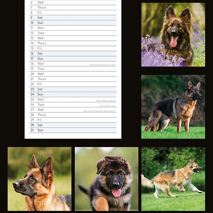 German Shepherds 2027 Premium Slim Wall Calendar back cover