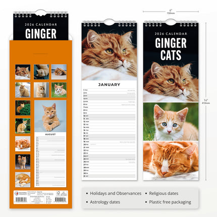 Ginger Cats 2027 square wall calendar - product specifications