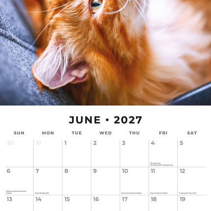 Ginger Cats 2027 square wall calendar - monthly calendar spread