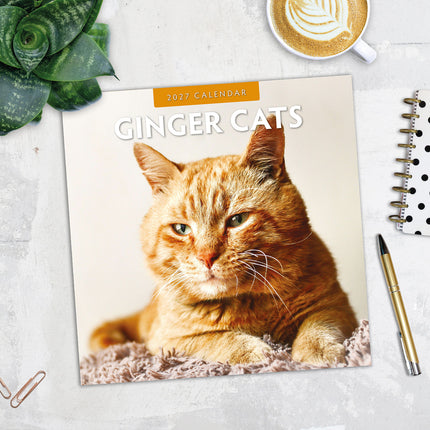 Ginger Cats 2027 square wall calendar - image detail